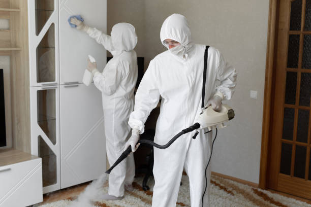 Mold Testing and Removal in Medicine Lodge, KS