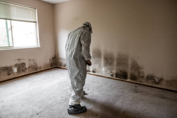 Water Damage Restoration in Medicine Lodge, KS